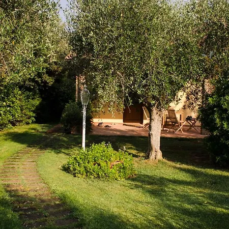 Bio Il Melograno Di Banditella Ristorante * ألبيريزي
