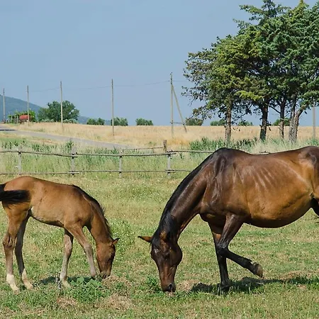Bio Il Melograno Di Banditella Ristorante مزرعة للإقامة ألبيريزي